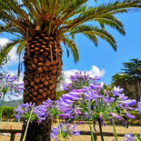 La Cordillera Exterior