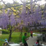 Nuevo Complejo Los Azores Extérieur