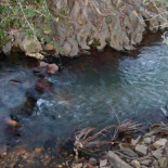 Nuevo Complejo Los Azores Extérieur