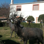 Nuevo Complejo Los Azores Extérieur