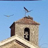 El Pilon Tlf 925878079 Extérieur