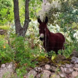 El Pilon Tlf 925878079 Extérieur