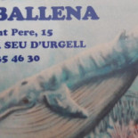La Ballena Carta