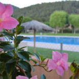 La Guingueta De Jorba Bebida