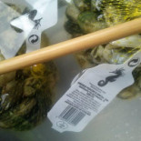 La Tabernita Boisson