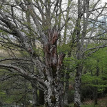 Montejo De La 28 Exterior