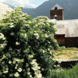 Casa Petris Asador Exterior