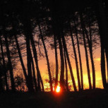 Los Jarales Bodas Y Eventos En La Naturaleza Exterior