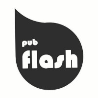 Flash logo