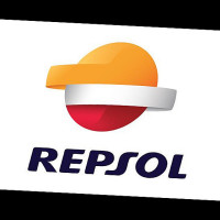 Repsol Las Palmeras logo