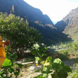 El Guanche Alte Schule Exterior