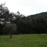 Paladares Piscolabis Tentempiés outside