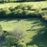 Alberg Can Cortina outside