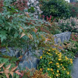 Hipica Merendero Can Virgili Exterior