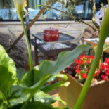 Hika Txakolina Exterior