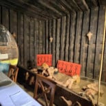 Zeraingo Ostatua Dentro