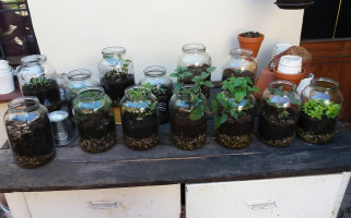 Restaurace Nebe Bebida