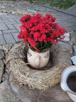 Hospůdka U Trakaře Bebida