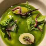 Alejandro Serrano Boisson