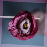 Alejandro Serrano Boisson