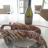 Taberna Dalmau Boisson