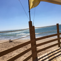 Kanguro Chiringuito Beach Club outside