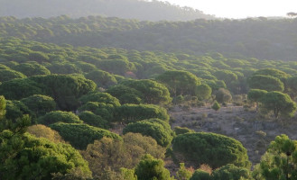 Las Peñas outside