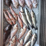 Los Antonios Boisson