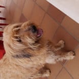 Masia Can Rimblas Boisson