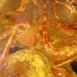 Taberna Dalmau Nourriture