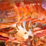 Pizzeria Sa Coma food