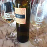 Nuevo Casino Pamplona Bebida