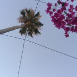 Bella Roma Extérieur