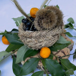 Pazo Vista Alegre Boisson