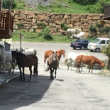 Hostal La Font Exterior