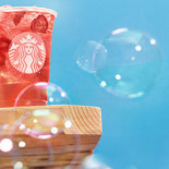 Hostal La Font Bebida