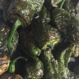 Jr Bar Restaurante Exterior