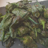 Jr Bar Restaurante Exterior