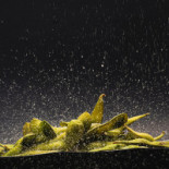 Sushi Panda Beach Boisson