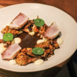 Fishølogy Nourriture