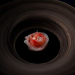 Alejandro Serrano Boisson