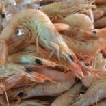 Meson La Tasca Nourriture