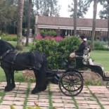 Huerto De Santa Maria outside