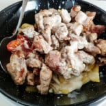 Estrella Del Muelle Nourriture