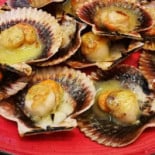 Estrella Del Muelle Nourriture