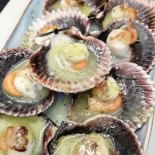 Estrella Del Muelle Nourriture