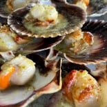 Estrella Del Muelle Nourriture