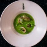 Alejandro Serrano Boisson