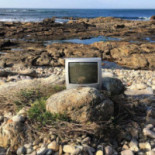 El Perro Verde À l'intérieur