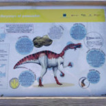 Albergue Juvenil De Igea Carte